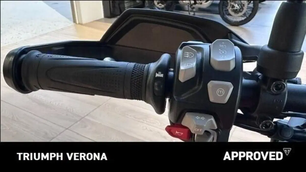 Triumph Tiger 900 GT Pro (2024 - 26) (10)