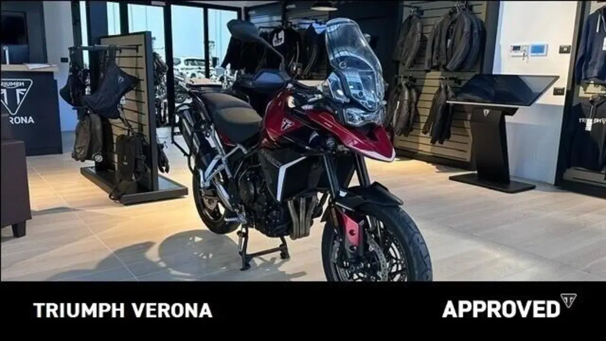 Triumph Tiger 900 GT Pro (2024 - 26) (8)