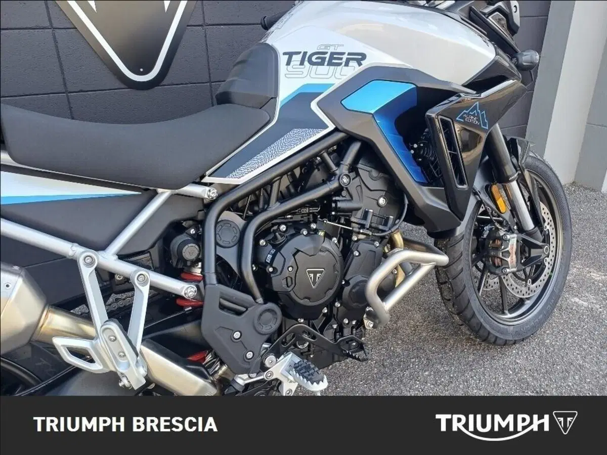 Triumph Tiger 900 Alpine Special Edition (2026) (5)