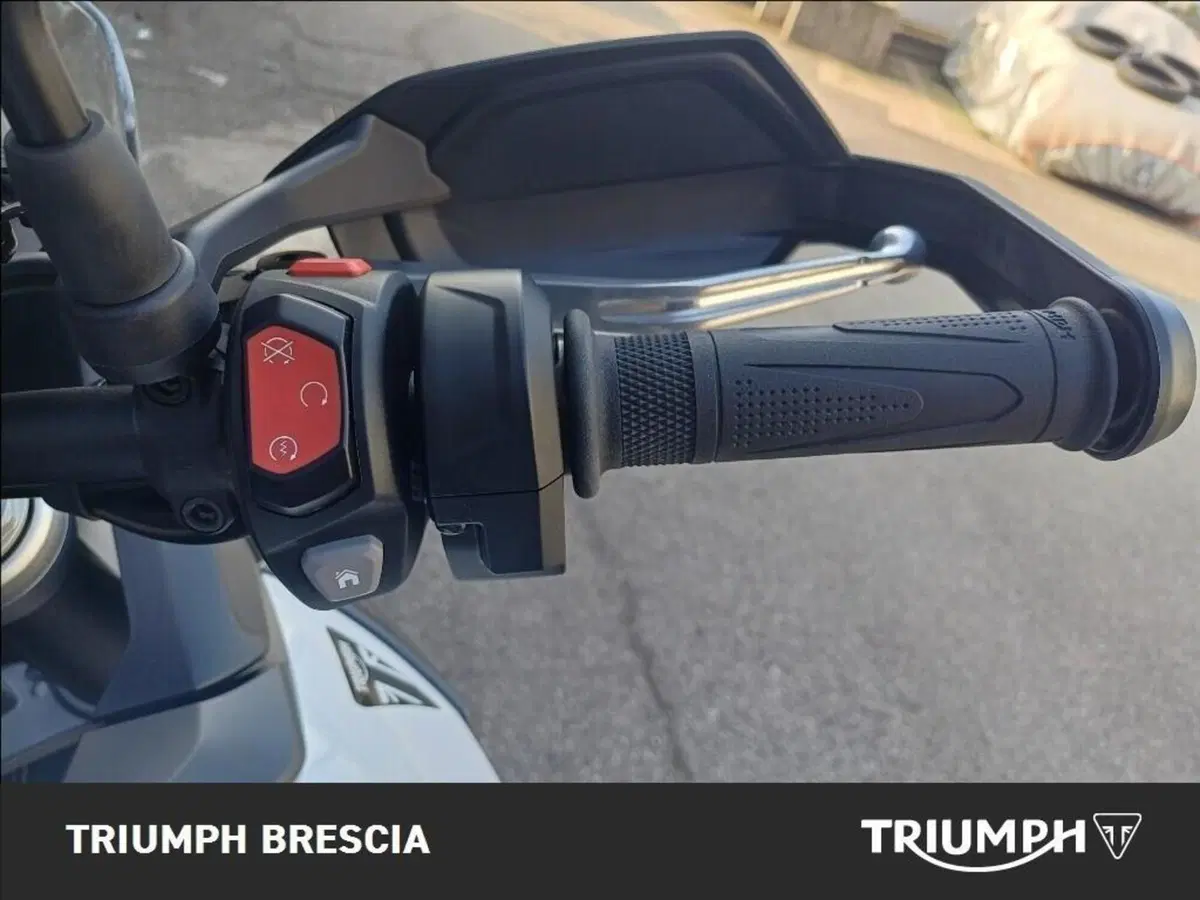 Triumph Tiger 900 Alpine Special Edition (2026) (9)