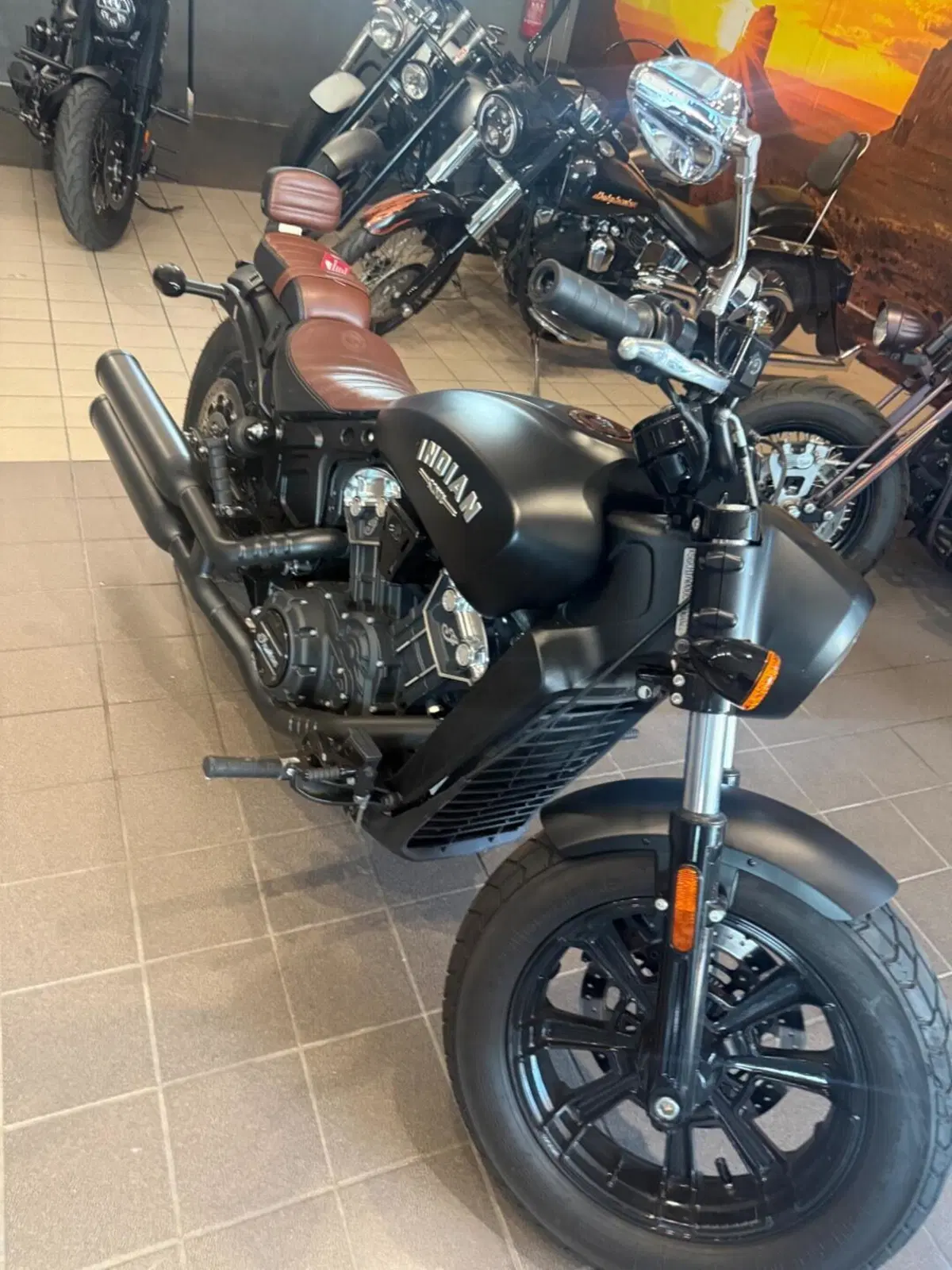 Indian Scout 1133 (2021 - 25) (2)