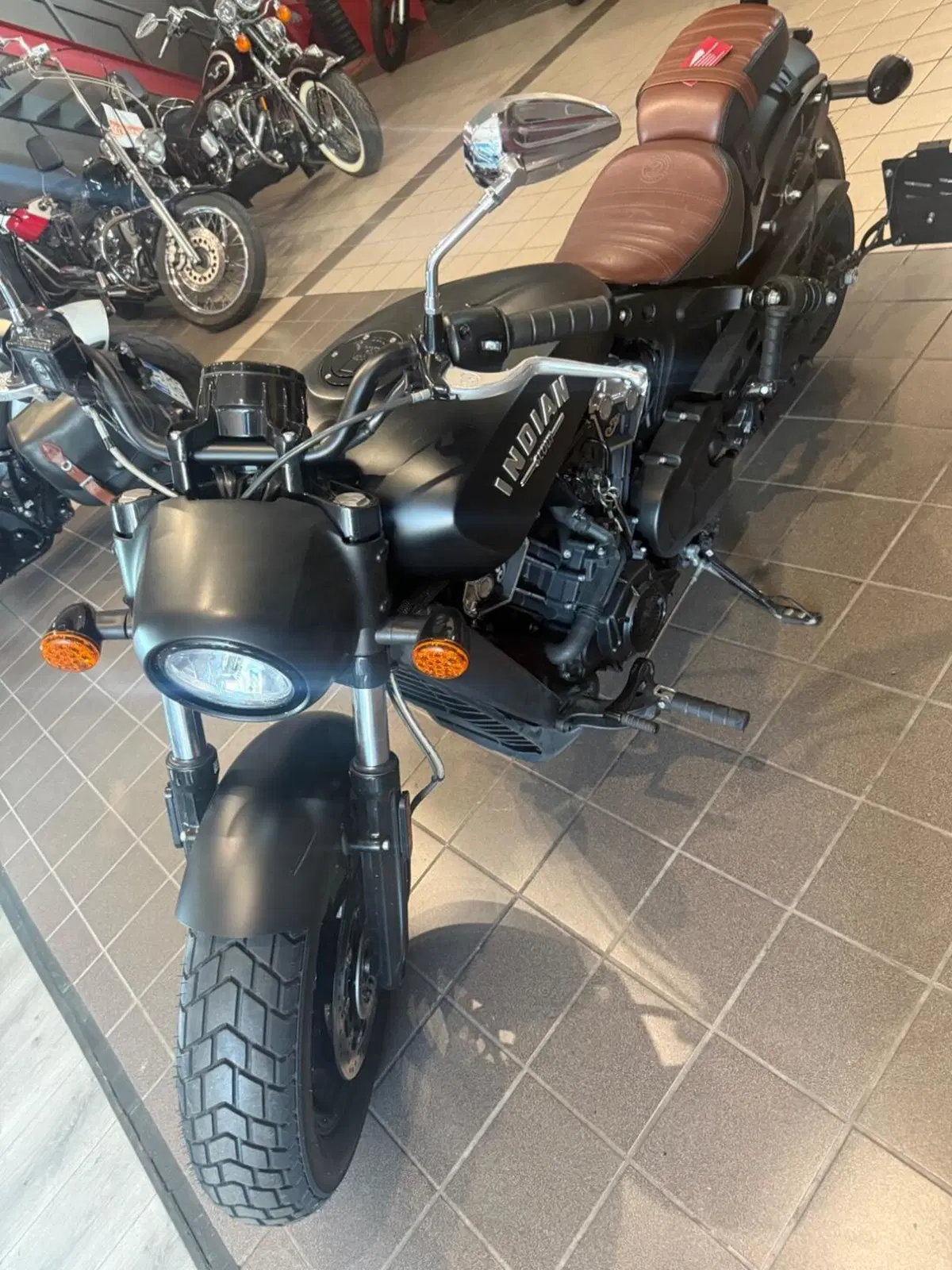 Indian Scout 1133 (2021 - 25) (3)
