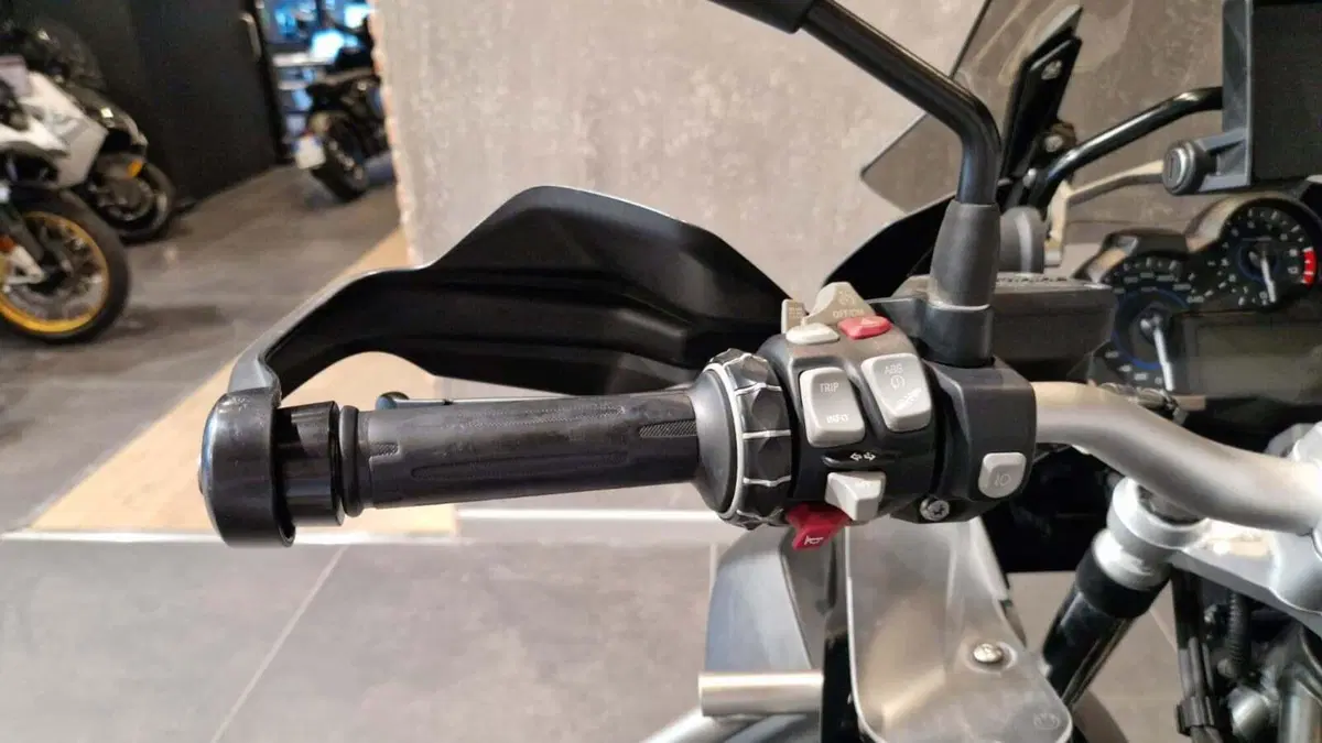 Bmw R 1200 GS (2017 - 18) (9)