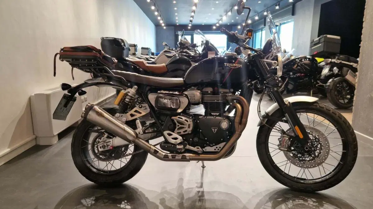 Triumph Scrambler 1200 XC (2019 - 20) (5)