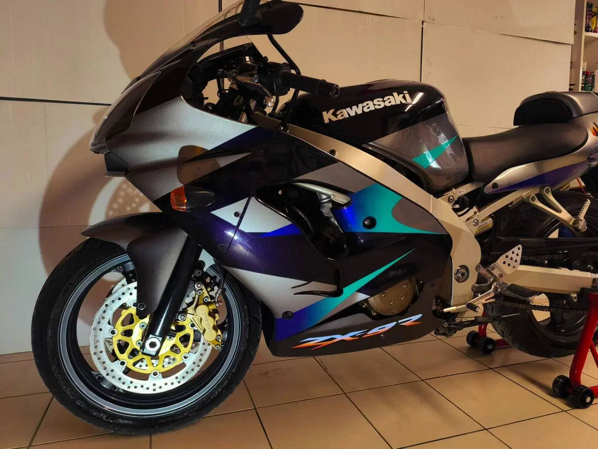 Kawasaki ZX-9R (3)