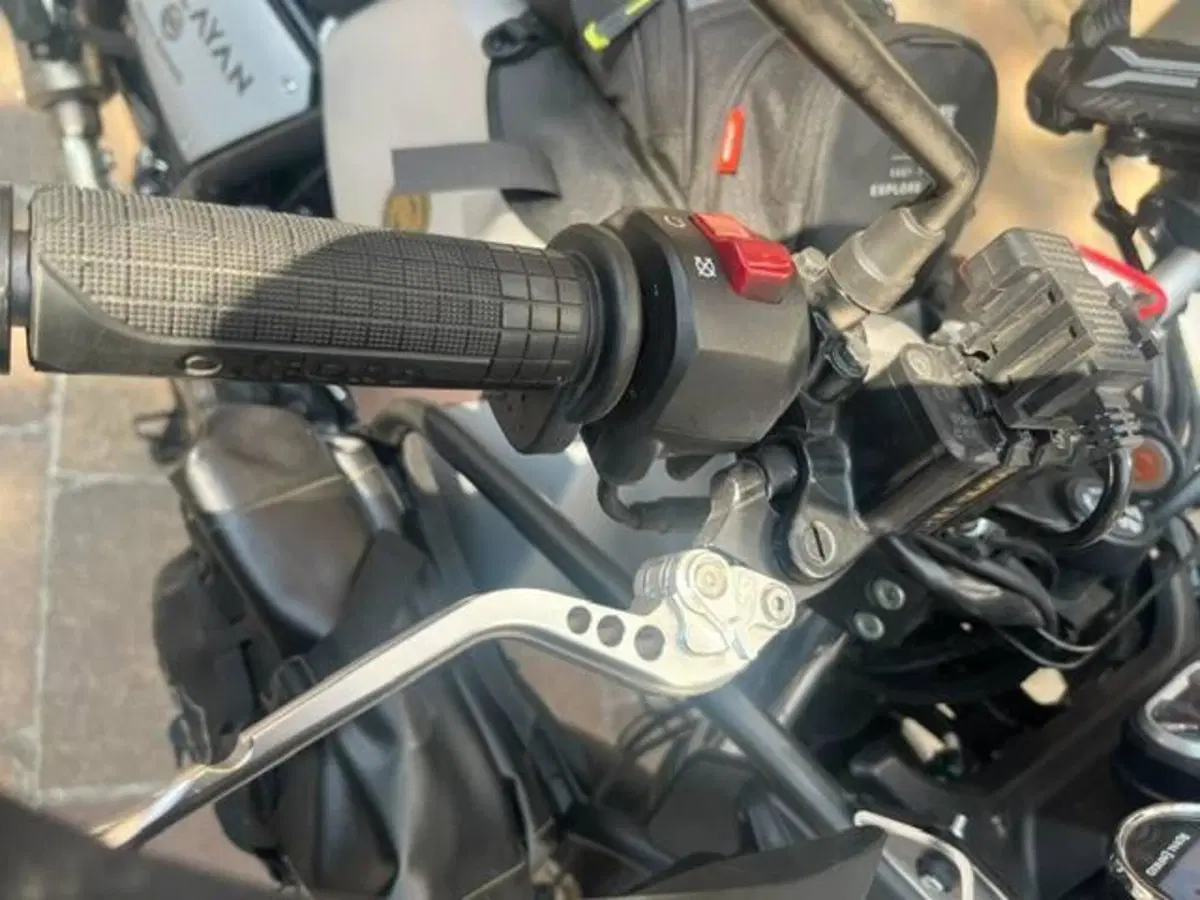 Royal Enfield Himalayan 411 (2021 - 24) (6)