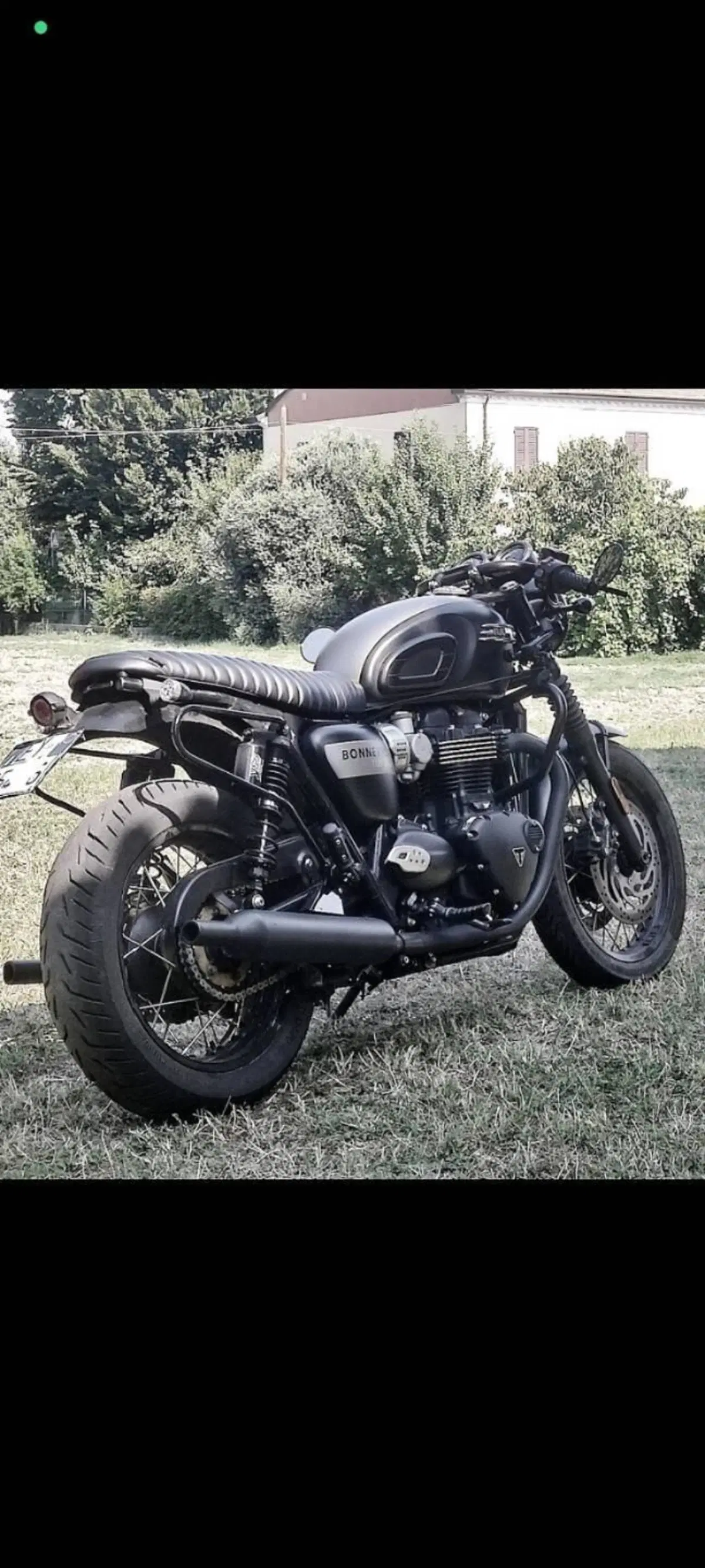 Triumph Bonneville T120 Gold Line Edition (2022 - 23)