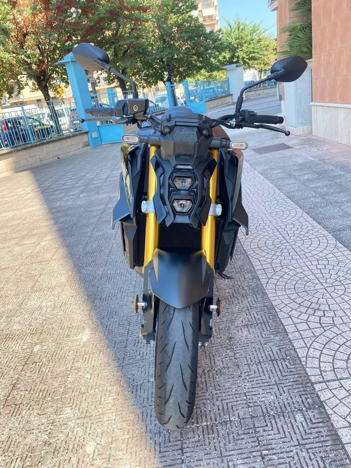 Suzuki GSX-S1000 (2021 - 25) (2)
