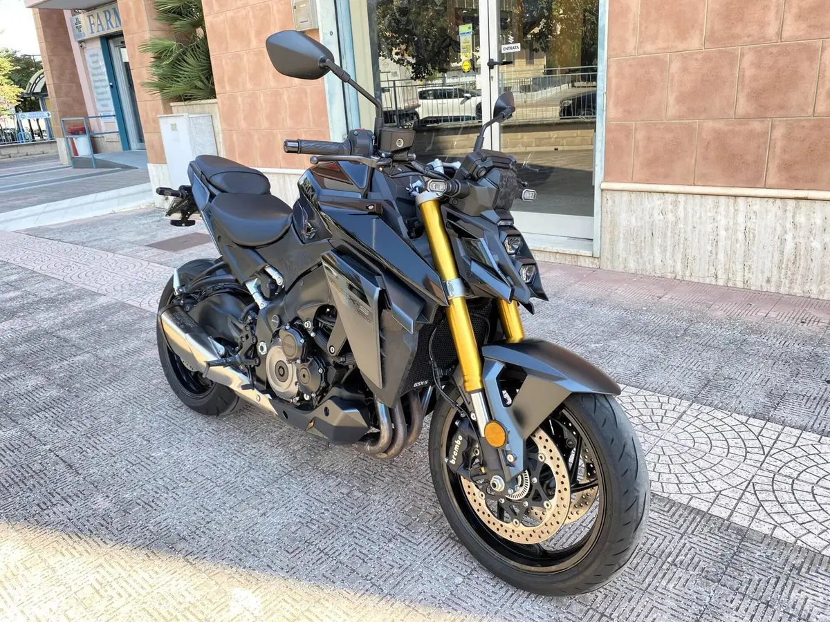 Suzuki GSX-S1000 (2021 - 25) (4)