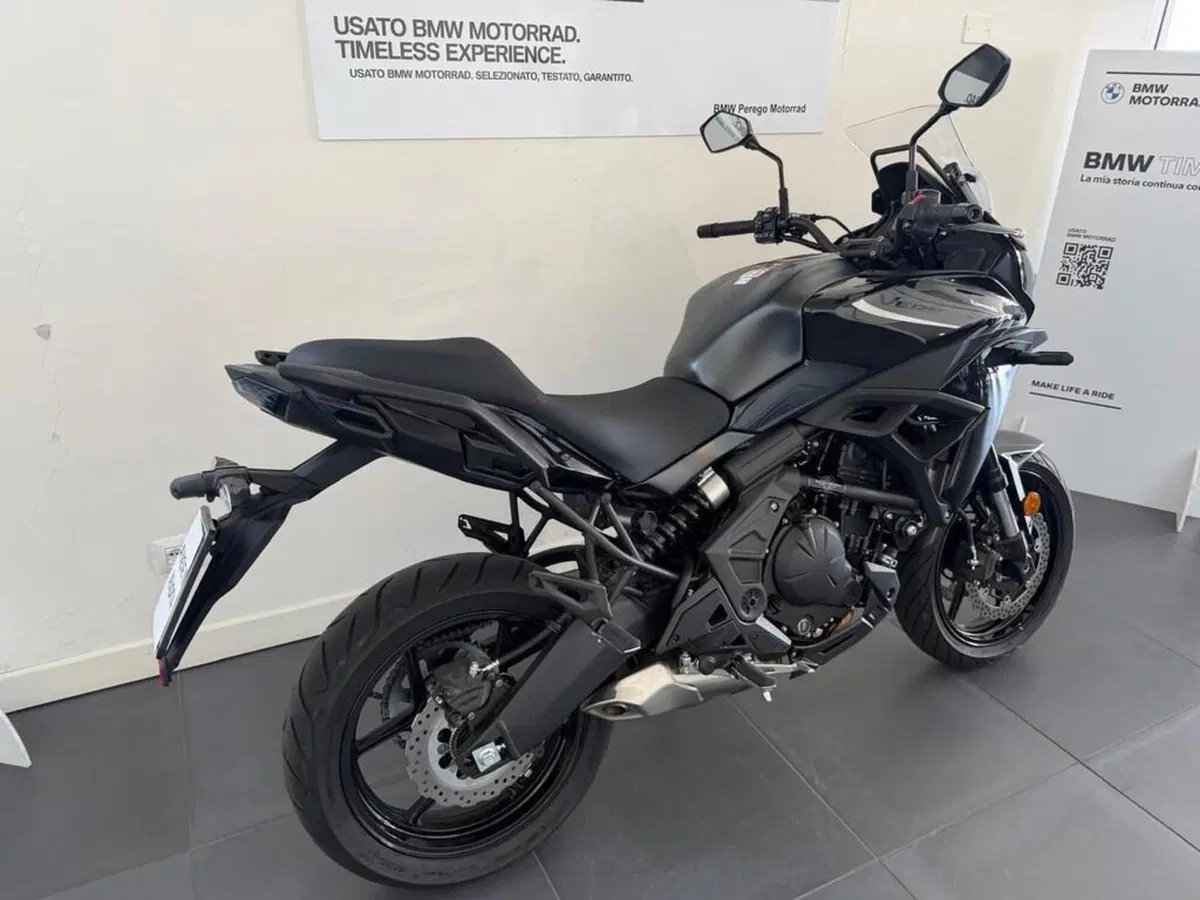 Kawasaki Versys 650 (2025 - 26) (10)