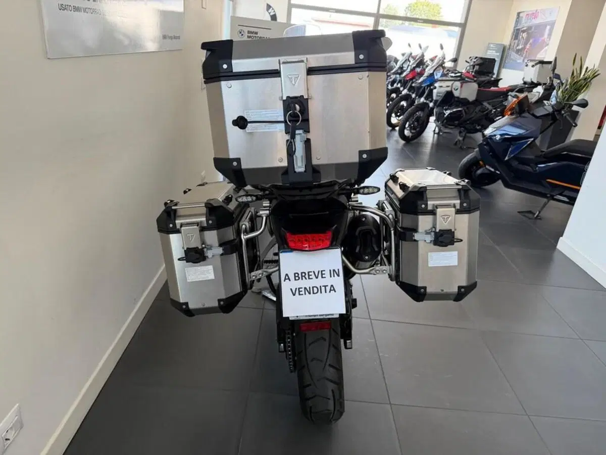 Triumph Tiger 900 GT Pro (2024 - 26) (4)