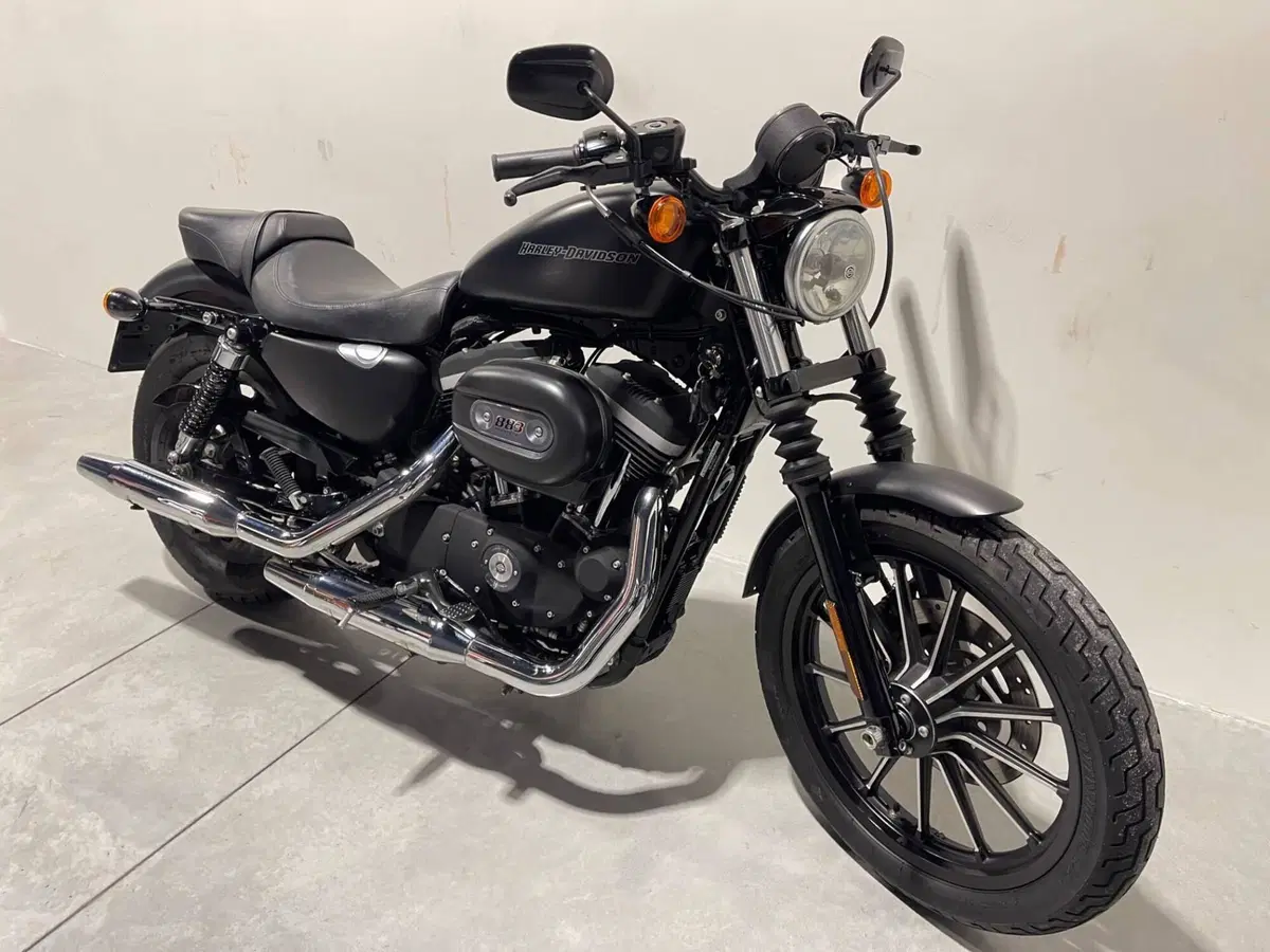 Harley-Davidson 883 Iron (2009 - 11) - XL 883N (2)