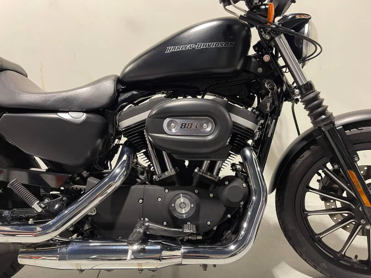 Harley-Davidson 883 Iron (2009 - 11) - XL 883N (3)