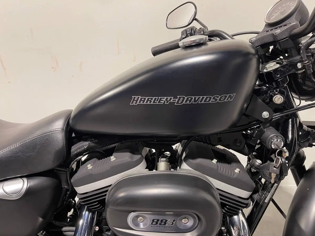 Harley-Davidson 883 Iron (2009 - 11) - XL 883N (6)