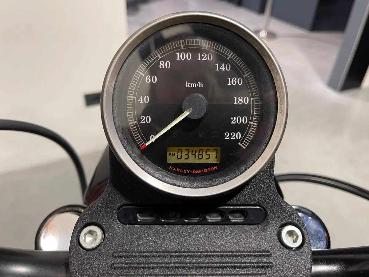 Harley-Davidson 883 Iron (2009 - 11) - XL 883N (7)