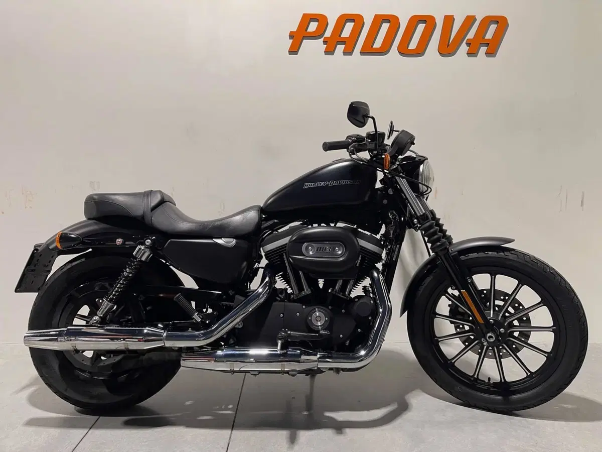 Harley-Davidson 883 Iron (2009 - 11) - XL 883N (9)