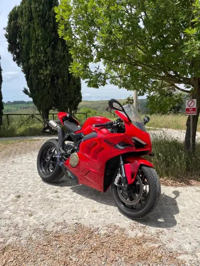 Ducati Panigale V4 (2022 - 24) usata