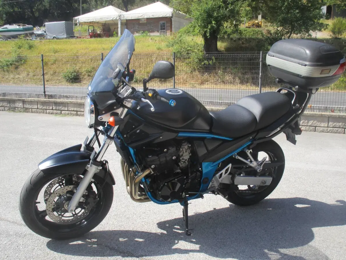 Suzuki GSF 650 Bandit (2005 - 06) (3)