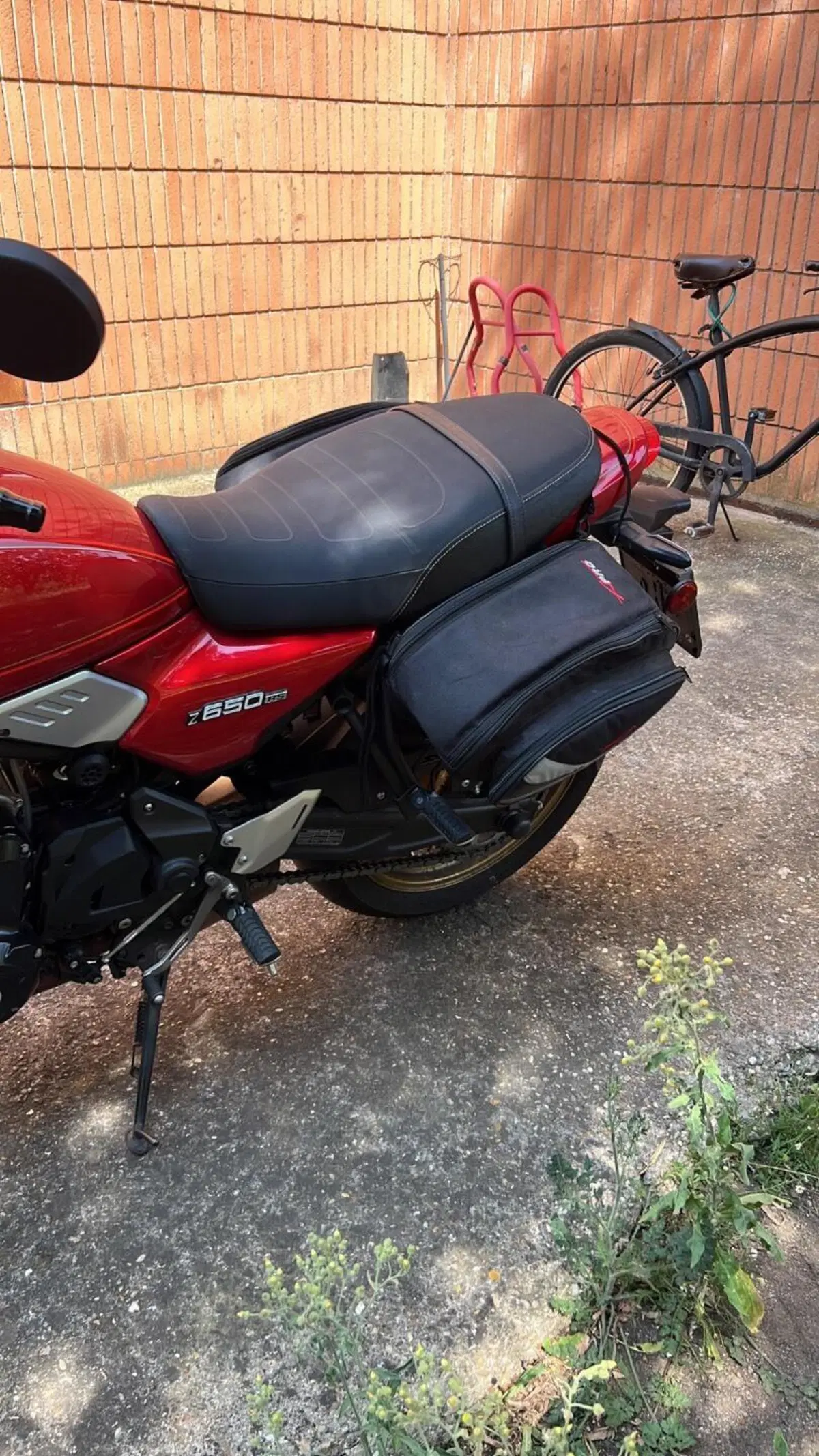 Kawasaki Z 650 RS 50th Anniversary (2022) (6)