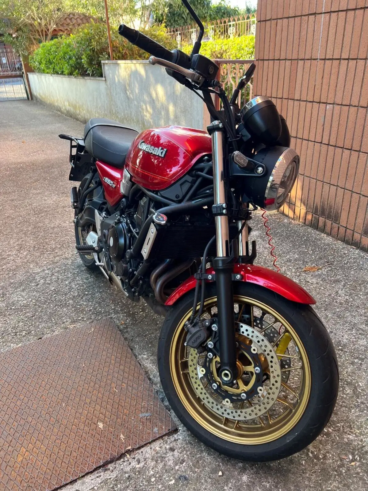 Kawasaki Z 650 RS 50th Anniversary (2022) (3)