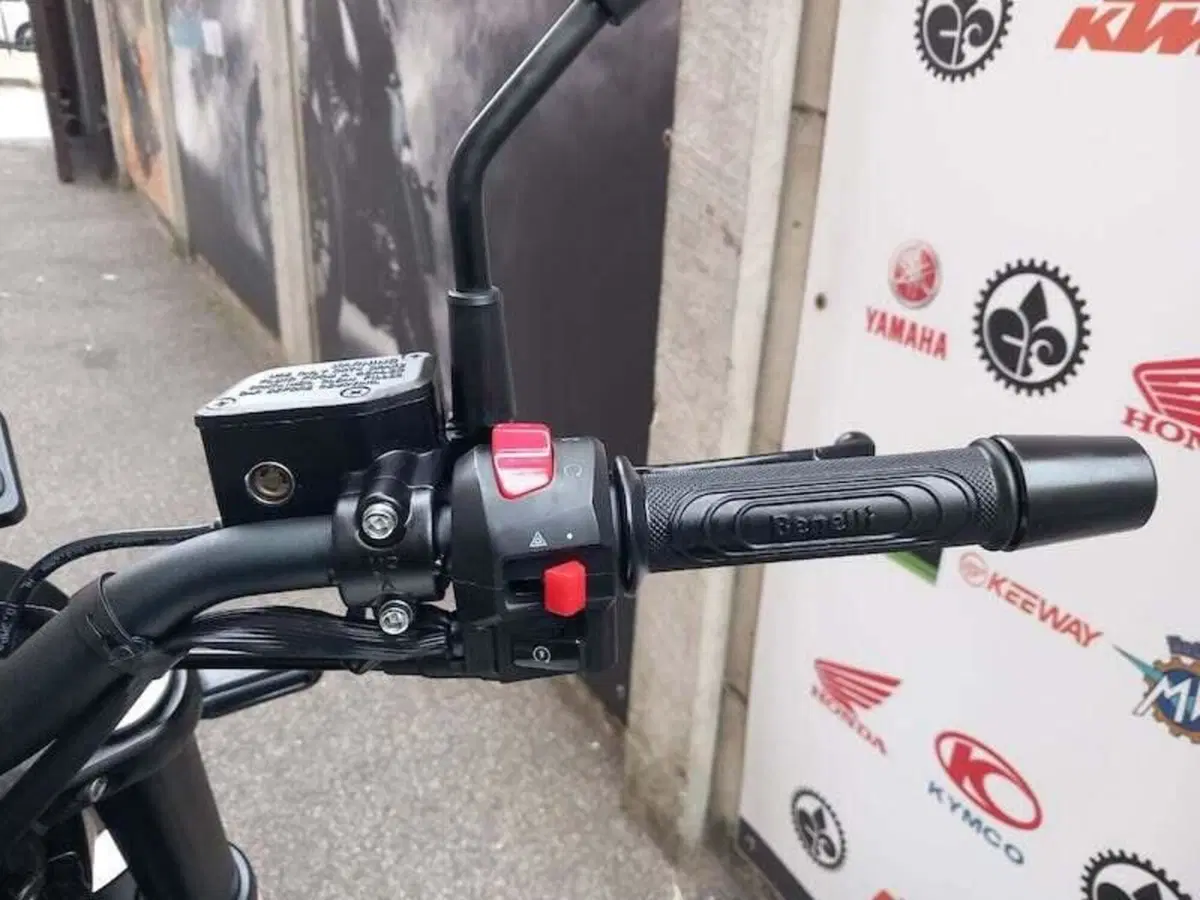 Benelli Leoncino 125 (2022 - 25) (12)