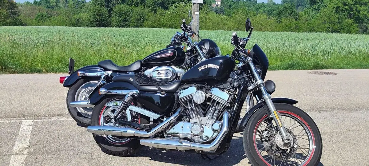 Harley-Davidson 883 Custom (2006 - 07) - XL 883C