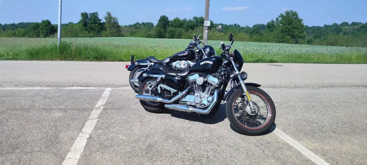 Harley-Davidson 883 Custom (2006 - 07) - XL 883C (2)