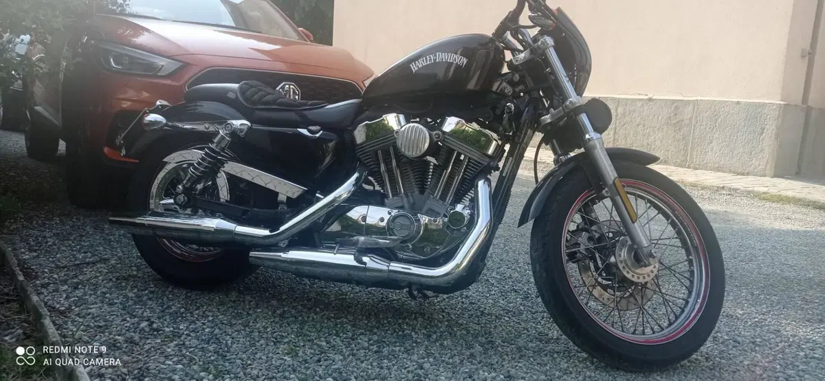 Harley-Davidson 883 Custom (2006 - 07) - XL 883C (5)