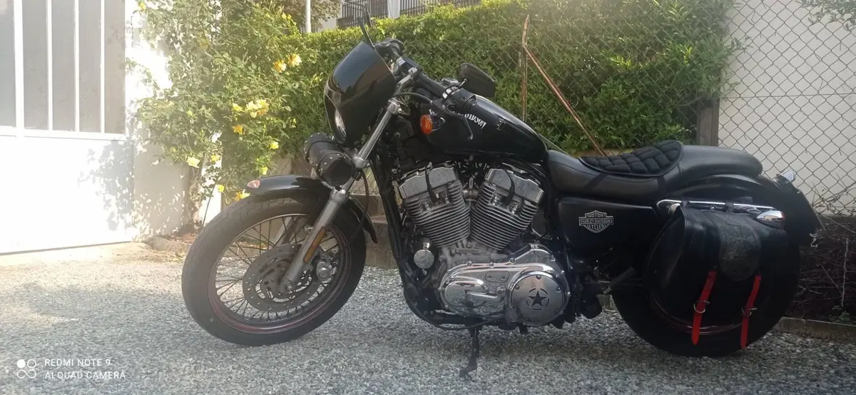 Harley-Davidson 883 Custom (2006 - 07) - XL 883C (6)