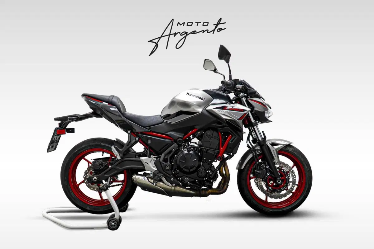 Kawasaki Z 650 Performance (2021 - 24)