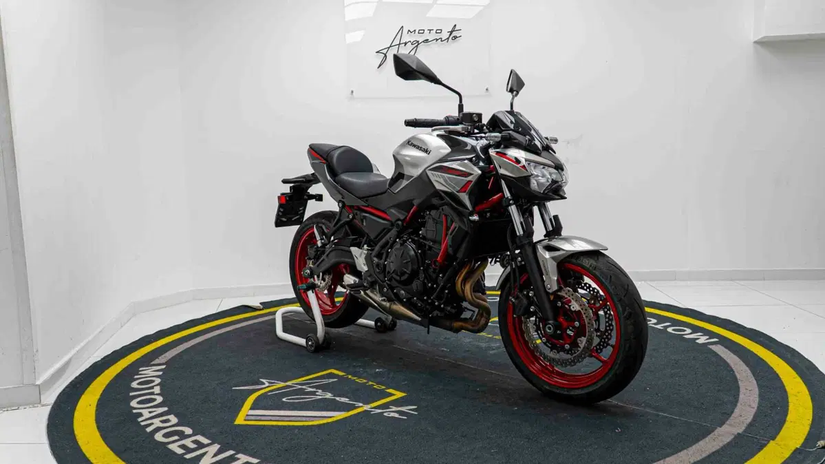Kawasaki Z 650 Performance (2021 - 24) (7)