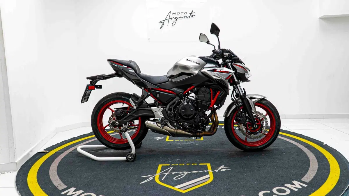 Kawasaki Z 650 Performance (2021 - 24) (8)
