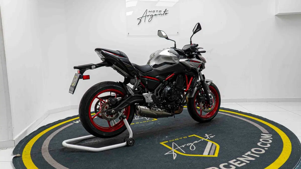 Kawasaki Z 650 Performance (2021 - 24) (9)