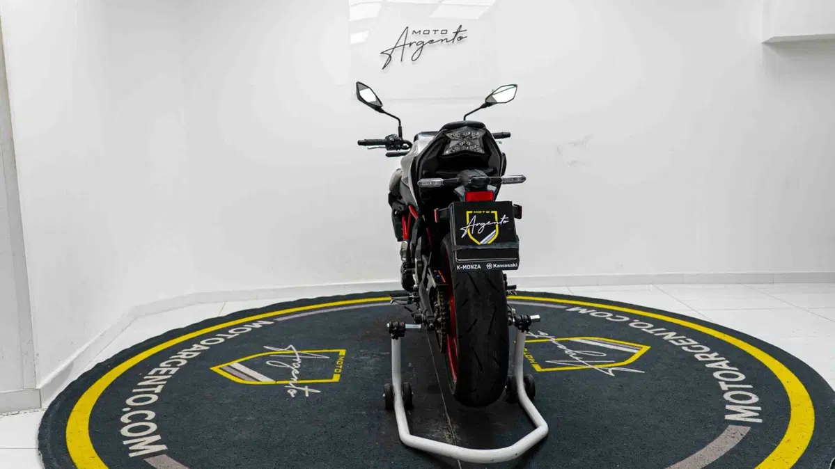 Kawasaki Z 650 Performance (2021 - 24) (10)