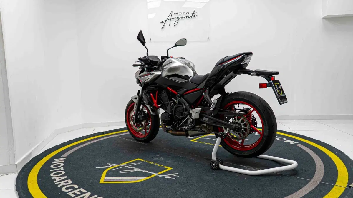 Kawasaki Z 650 Performance (2021 - 24) (11)