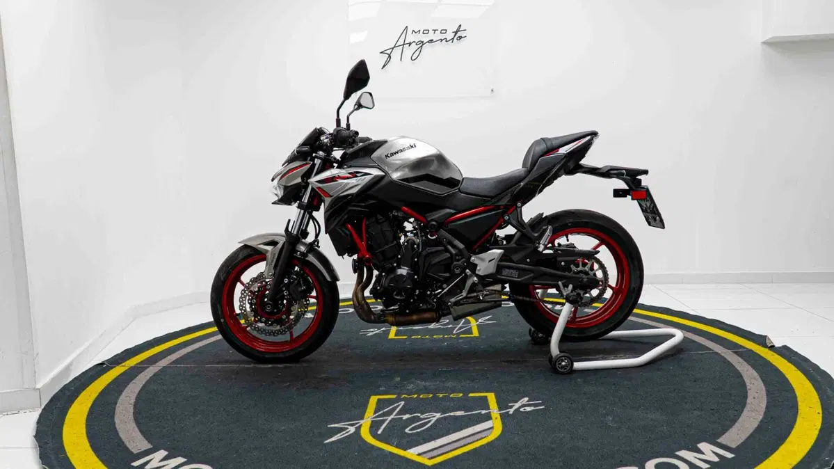 Kawasaki Z 650 Performance (2021 - 24) (12)