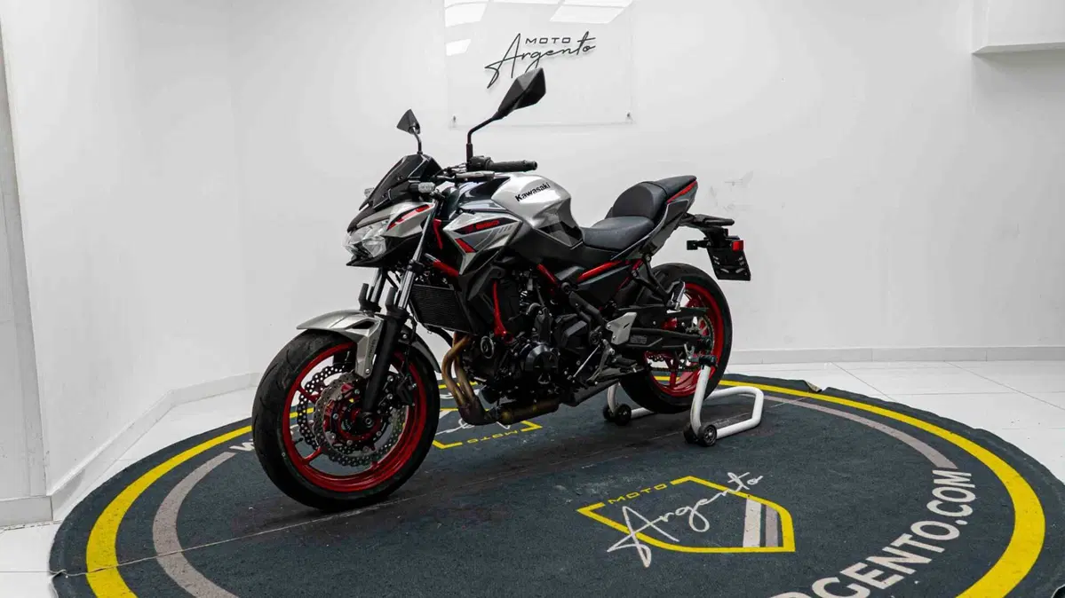 Kawasaki Z 650 Performance (2021 - 24) (13)
