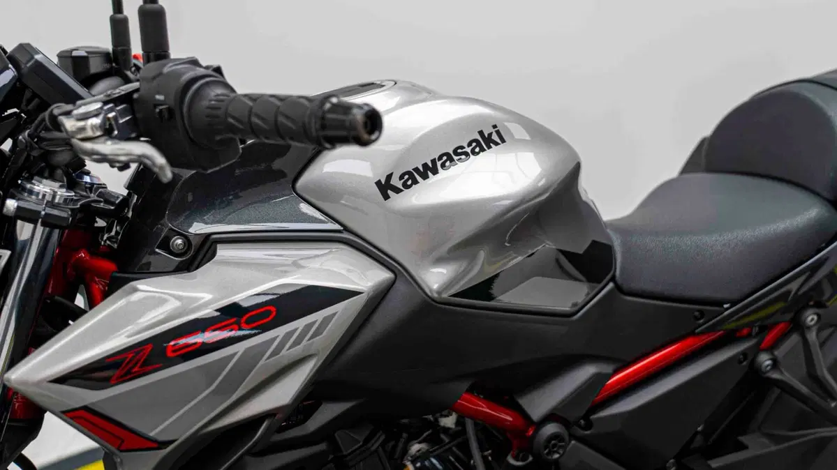Kawasaki Z 650 Performance (2021 - 24) (14)