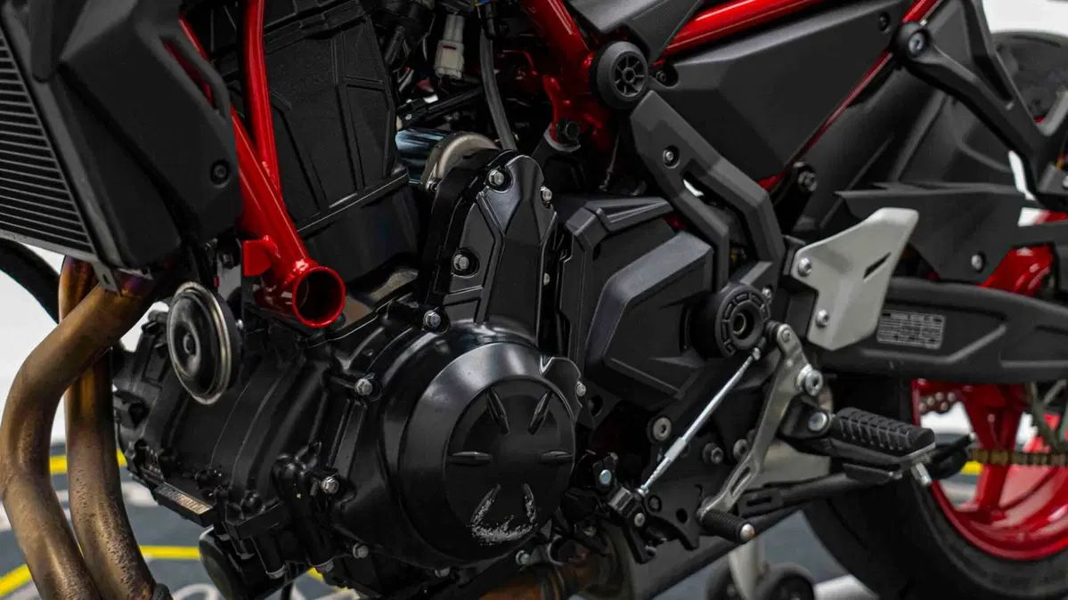 Kawasaki Z 650 Performance (2021 - 24) (15)