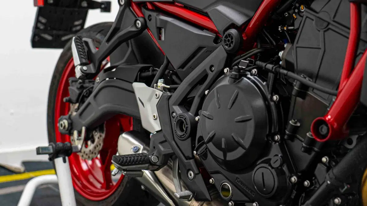 Kawasaki Z 650 Performance (2021 - 24) (16)