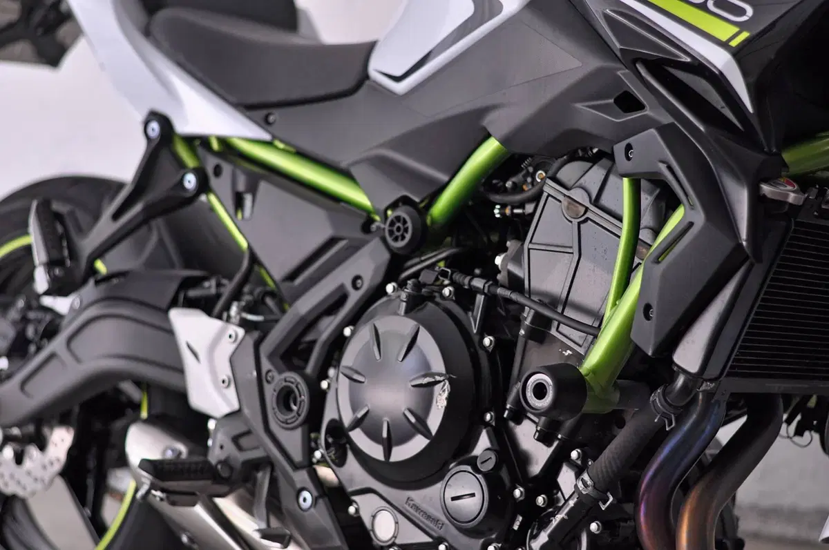 Kawasaki Z 650 (2020) (8)