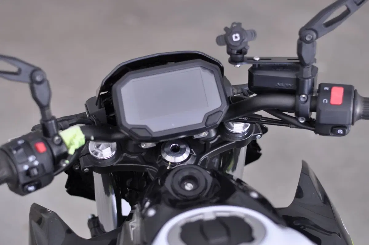 Kawasaki Z 650 (2020) (10)