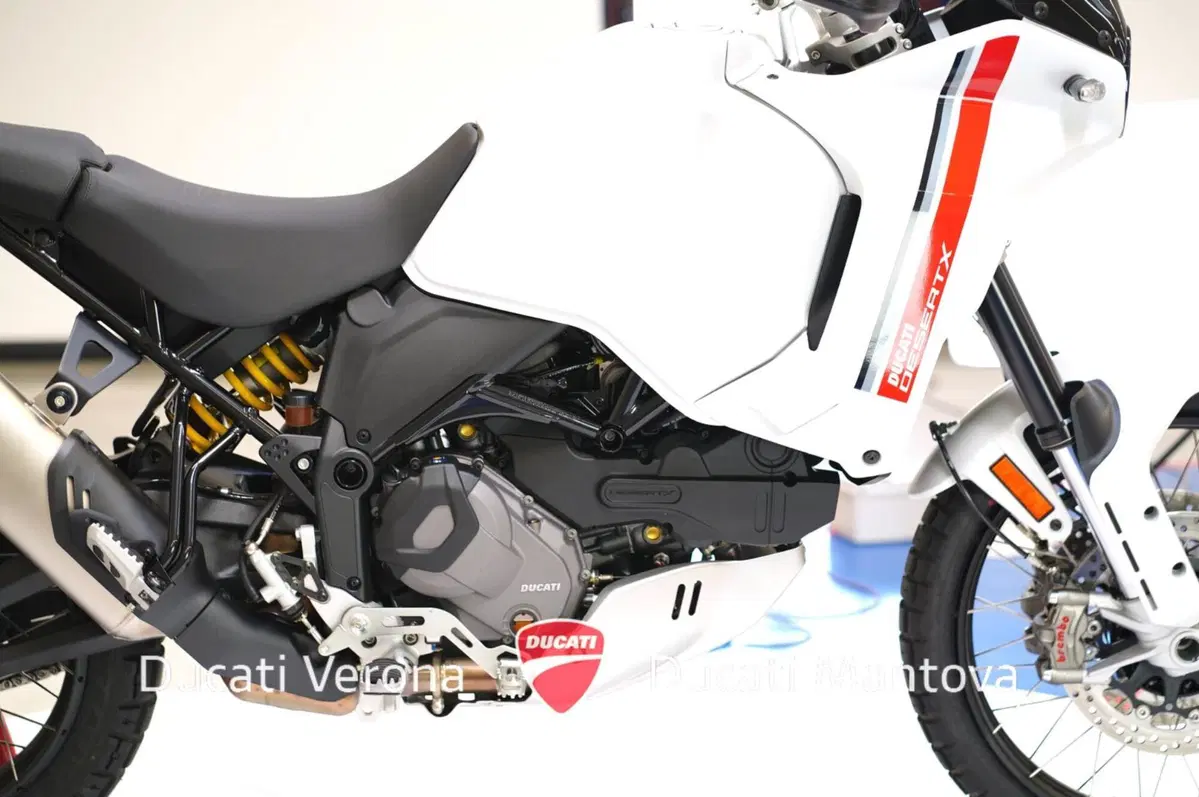 Ducati DesertX (2022 - 25) (17)