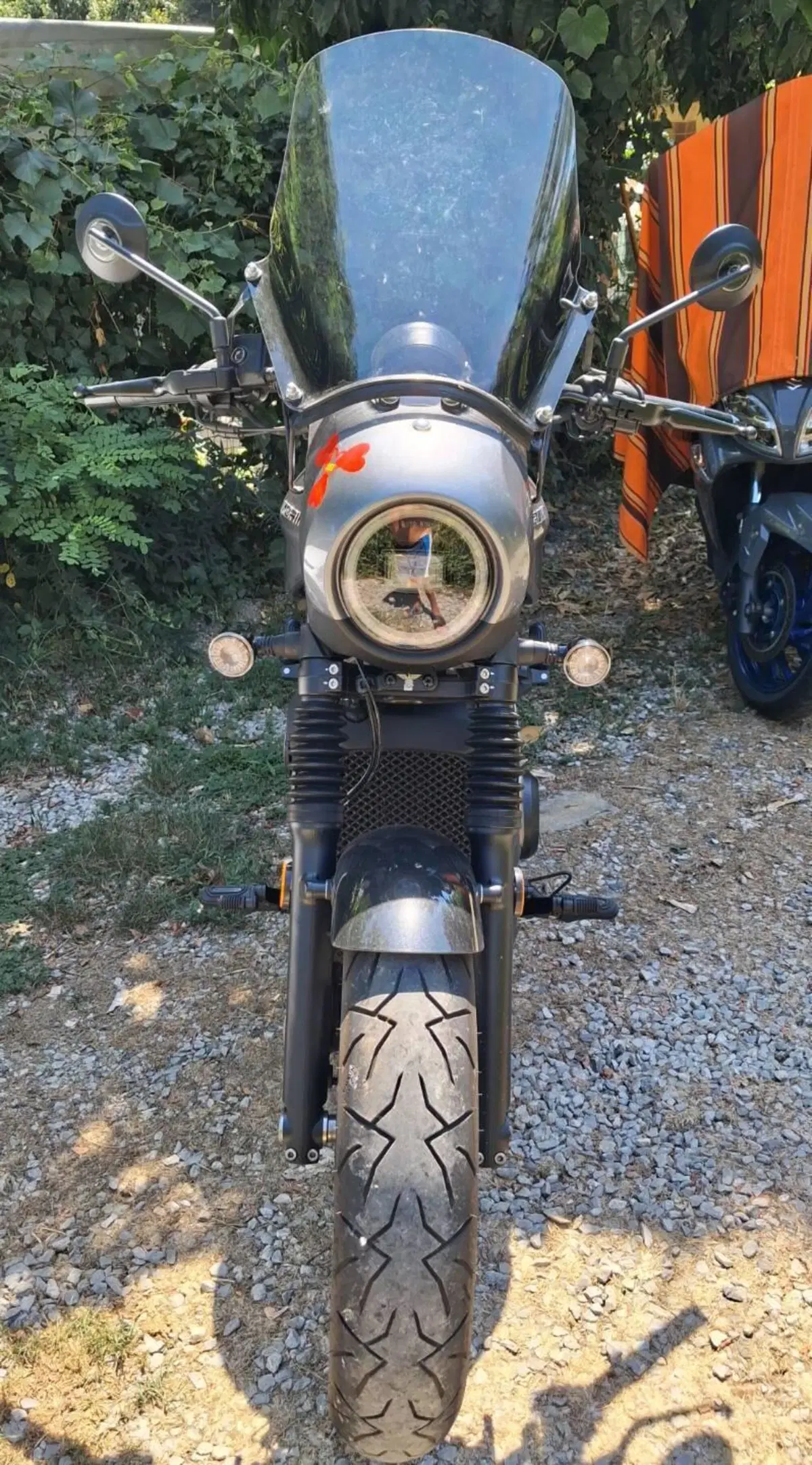 Moto Morini Calibro Custom (2024 - 26) (2)