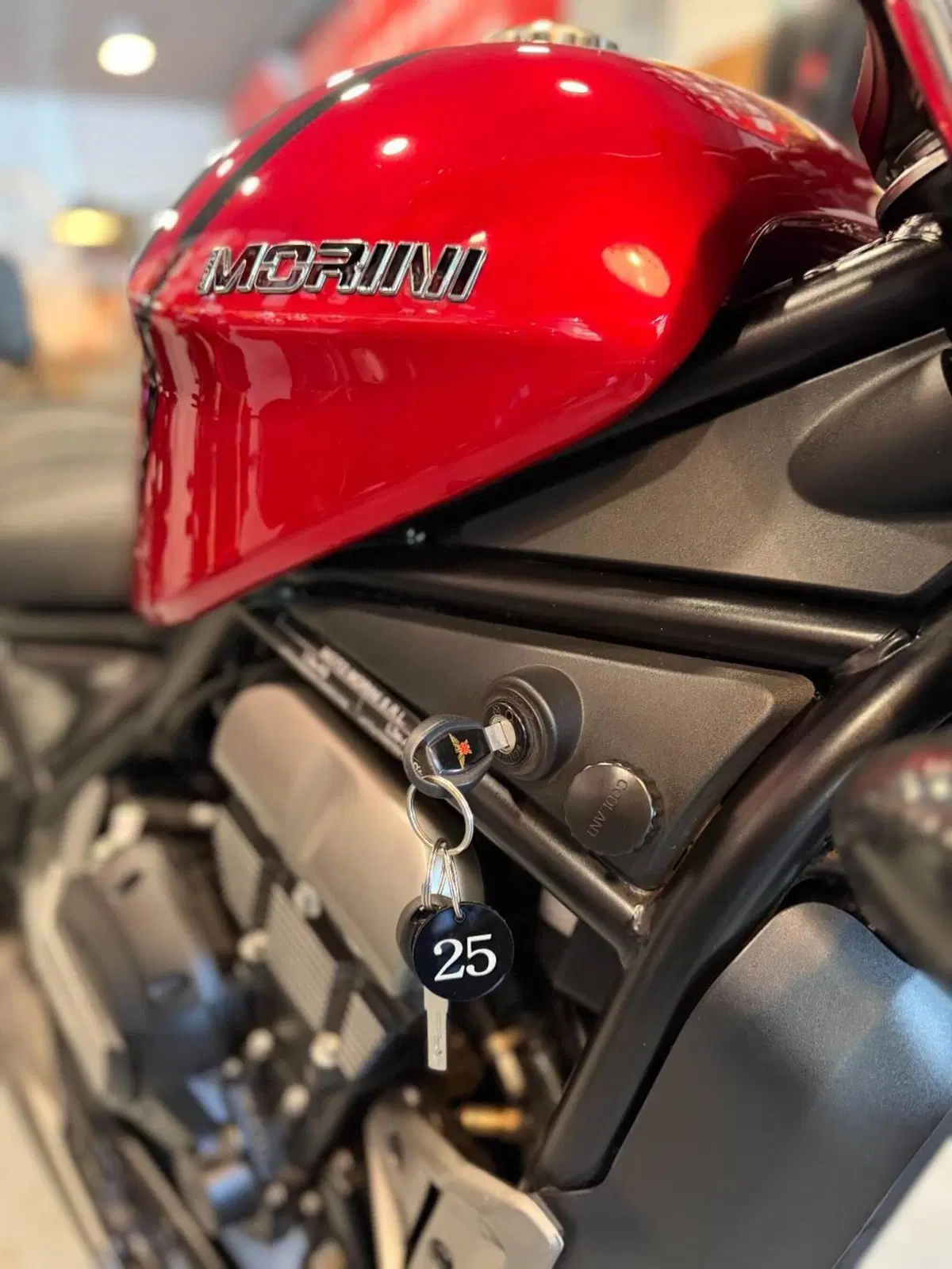 Moto Morini Calibro Custom (2024 - 26) (11)