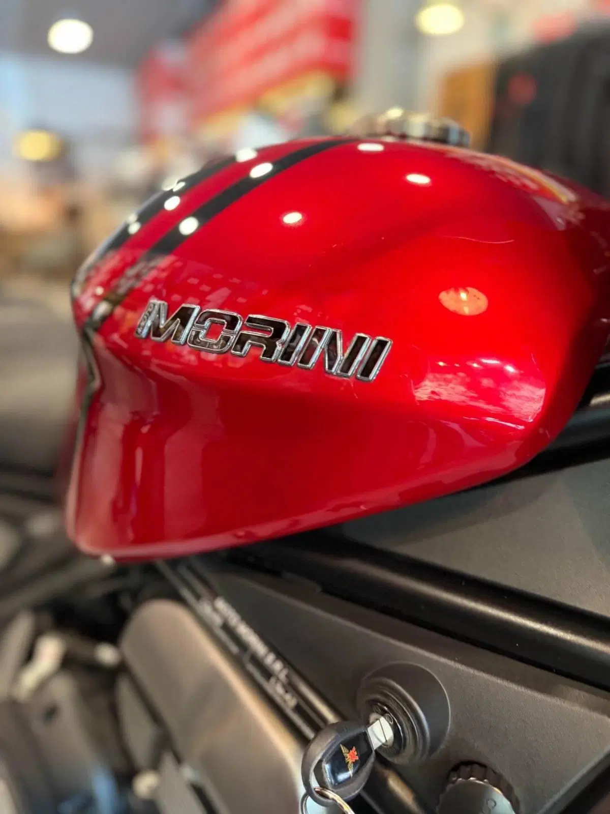 Moto Morini Calibro Custom (2024 - 26) (17)