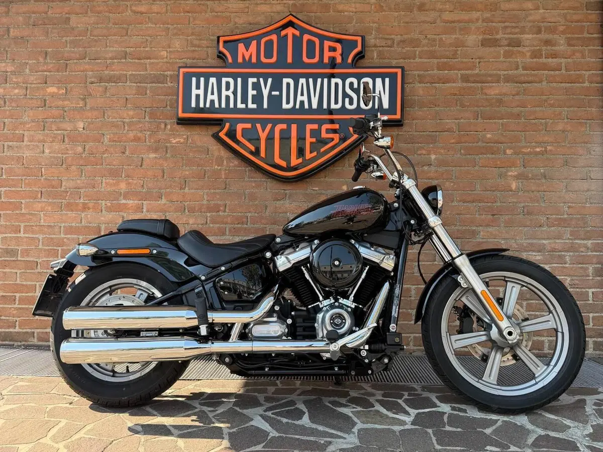 Harley-Davidson Softail Standard (2021 - 25)