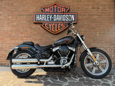 Harley-Davidson Softail Standard (2021 - 25) usata