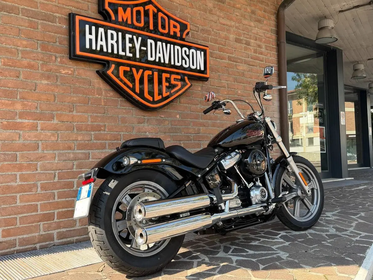 Harley-Davidson Softail Standard (2021 - 25) (2)