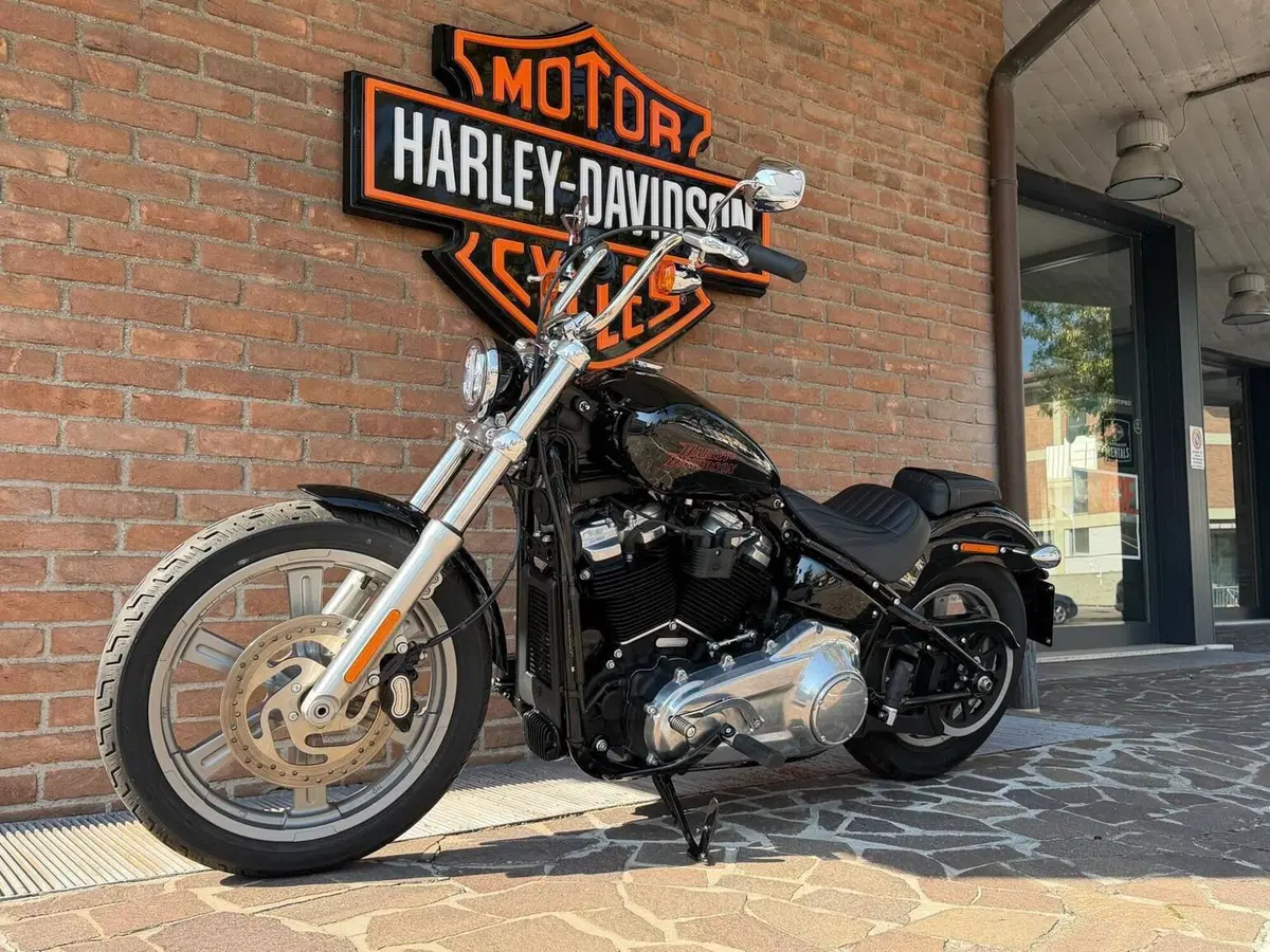 Harley-Davidson Softail Standard (2021 - 25) (4)